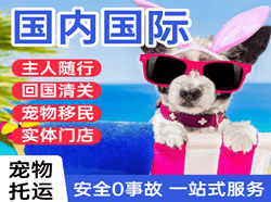襄阳刘集机场邮寄国际宠物托运 【国